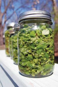 Historic Food as a Path to the Future Image